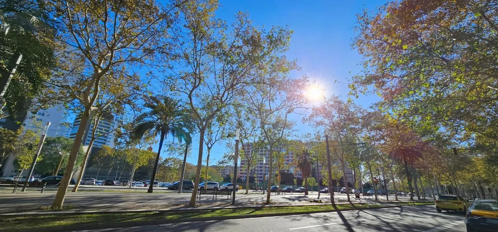 8 Min Walk To The Beach & 10 Min Walk To Convention Centre ! Barcelona 0*,  Spain